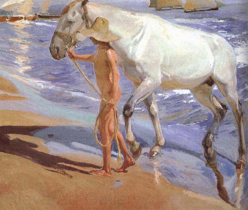 Joaquin Sorolla Horse bath Germany oil painting art